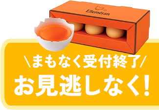 エルメラン クラウドファウンディング まもなく受付終了！